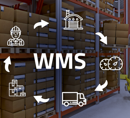 Phần mềm quản lý kho WMS cho thương mại điện tử 